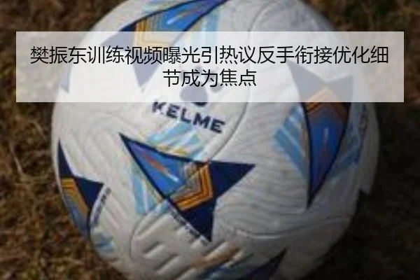 樊振东训练视频曝光引热议反手衔接优化细节成为焦点